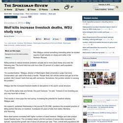 Wolf kills increase livestock deaths, WSU study says - Spokesman.com - Dec. 4, 2014