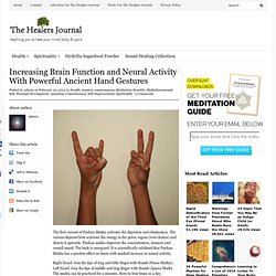 Increasing Brain Function and Neural Activity With Powerful Hand Gestures