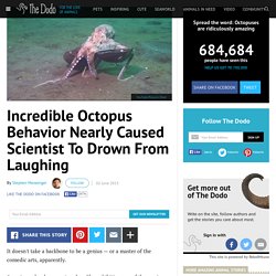 Incredible Octopus Behavior Nearly Caused Scientist To Drown From Laughing