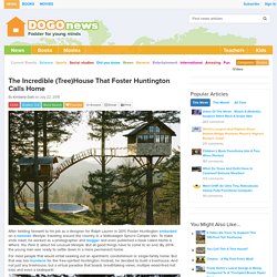 The Incredible (Tree)House That Foster Huntington Calls Home Kids News Article