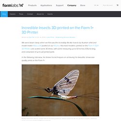 Incredible Insects 3D printed on the Form 1+ 3D Printer — Formlabs Blog — Formlabs