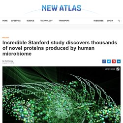 Incredible Stanford study discovers thousands of novel proteins produced by human microbiome