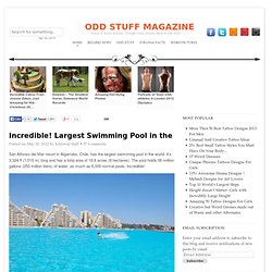 Incredible! Largest Swimming Pool in the World - Algarrobo, Chile