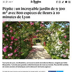 Pépite : un incroyable jardin de 9 500 m² avec 800 espèces de fleurs à 10 minutes de Lyon
