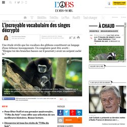 L'incroyable vocabulaire des singes décrypté