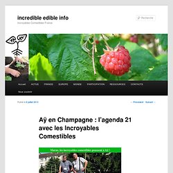 Aÿ en Champagne : l’agenda 21 avec les Incroyables Comestibles