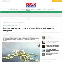 Des îles incubateurs : une utopie artificielle en Polynésie Française