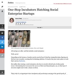 One-Stop Incubators Hatching Social Enterprise Startups