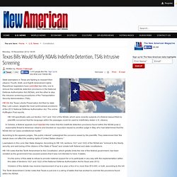 Texas Bills Would Nullify NDAA's Indefinite Detention, TSA's Intrusive Screening