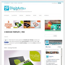 3 InDesign Template