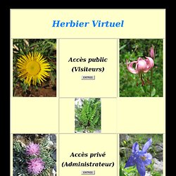 Herbier virtuel