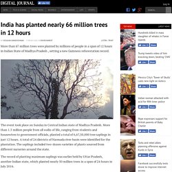 India has planted nearly 66 million trees in 12 hours