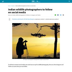 Indian wildlife photographers to follow on social media