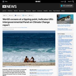 'This report is a wake-up call': UN panel issues climate change warning