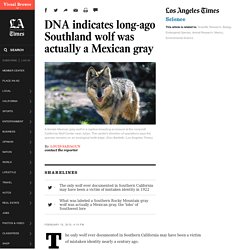DNA indicates long-ago Southland wolf was actually a Mexican gray - LA Times
