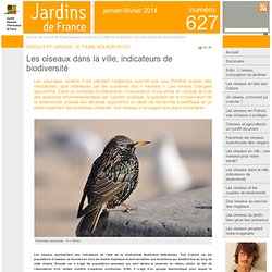 Les oiseaux dans la ville, indicateurs de biodiversité - Jardins de France
