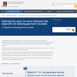 ONU - 17 objectifs EDD : les Indicateurs pour le suivi national des objectifs - Agenda 2030