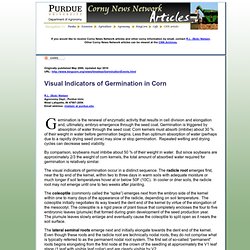 Visual Indicators of Germination in Corn - Corny News Network (Purdue University)