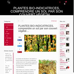 PLANTES BIO-INDICATRICES, comprendre un sol par son couvert végétal…Chapelle Bérard