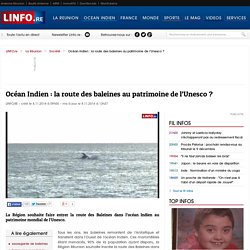 Océan Indien : la route des baleines au patrimoine de l’Unesco ?