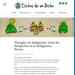 Thoughts on Indigeneity, from the Perspective of an Indigenous Person – Dichos de un bicho