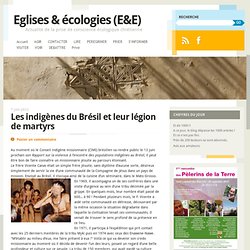 Ecologies et Eglises Brésil
