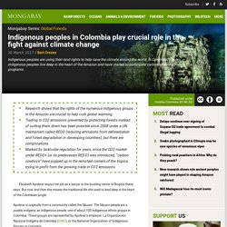 *****REDD: Indigenous peoples in Colombia play crucial role in the fight against climate change