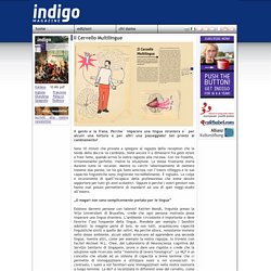 indigo magazine