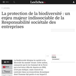 La protection de la biodiversité : un enjeu majeur indissociable de la Responsabilité sociétale des entreprises