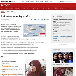 Indonesia country profile