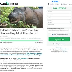 Indonesia Is Now This Rhino's Last Chance. Only 80 of Them Remain.