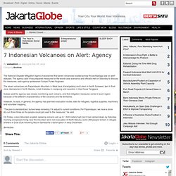 7 Indonesian Volcanoes on Alert: Agency
