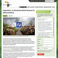 Indonésie : la Deutsche Bank finance la déforestation