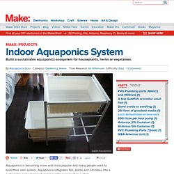 Indoor Aquaponics System