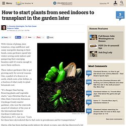 How to start plants from seed indoors to transplant in the garden later