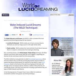 Wake Induced Lucid Dreams (The WILD Technique)