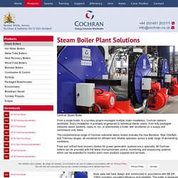 Industrial Steam Boilers