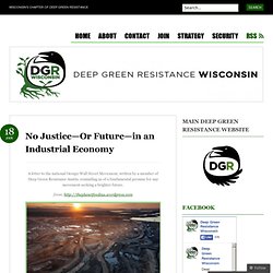 No Justice—Or Future—in an Industrial Economy « Deep Green Resistance Wisconsin