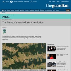 The Amazon’s new industrial revolution