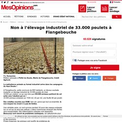 Non à l’élevage industriel de 33.000 poulets à Flangebouche