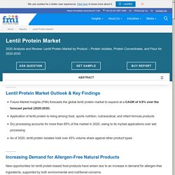 Lentil Protein Market: Industry Analysis, Size, Share, Trends and Forecast to 2030