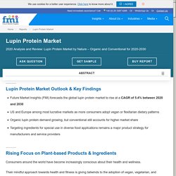 Lupin Protein Market: Industry Analysis, Size, Share, Trends and Forecast to 2030