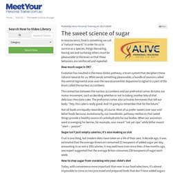 The sweet science of sugar - Fitness Industry My How To Articles By Alive Personal Training