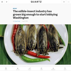 The edible-insect industry has grown big enough to start lobbying Washington — Quartz