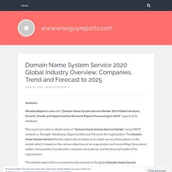 Global Domain Name System Service Market Outlook, Industry Analysis and Prospect 2025
