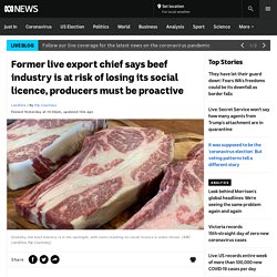 Former live export chief says beef industry is at risk of losing its social licence, producers must be proactive - ABC News