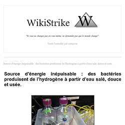 Source d’énergie inépuisable : des bactéries produisent de l’hydrogène à partir d’eau salé, douce et usée. - wikistrike.over-blog.com