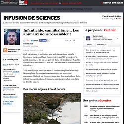 Infanticide, cannibalisme... Les animaux nous ressemblent | Infusion de sciences