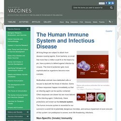 The Human Immune System and Infectious Disease