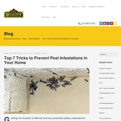 Top 7 Tricks to Prevent Pest Infestations in Your Home